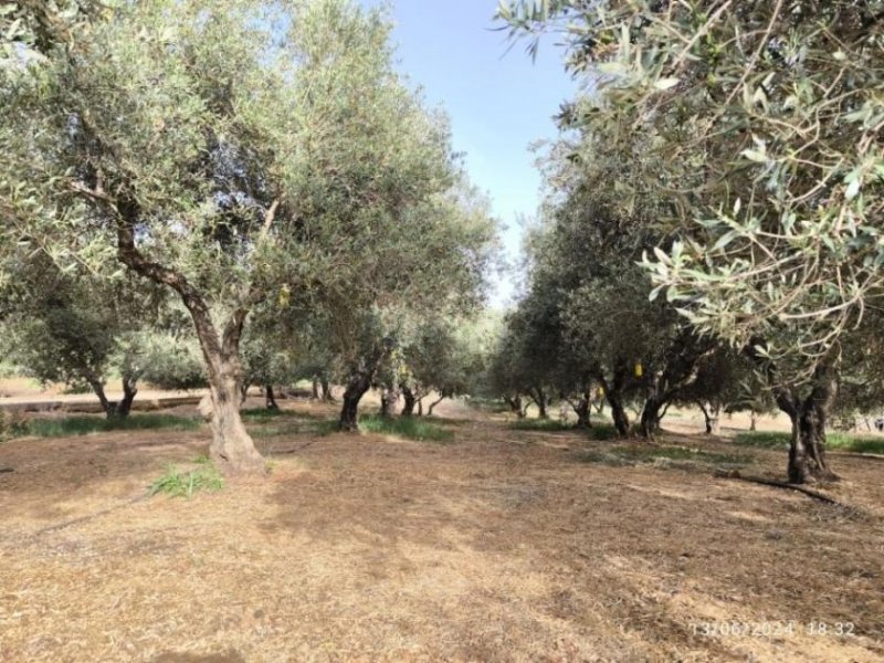 Timpaki Klima Kreta Timbaki außergewöhnliches Baugrundstück Meer- und Bergblick Grundstück kaufen